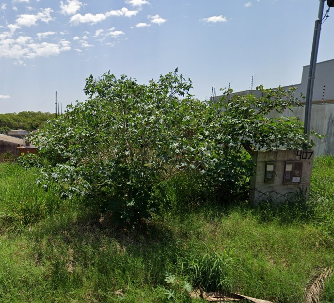 Terreno 151,25m², Jardim Novo Bongiovani, Presidente Prudente SP