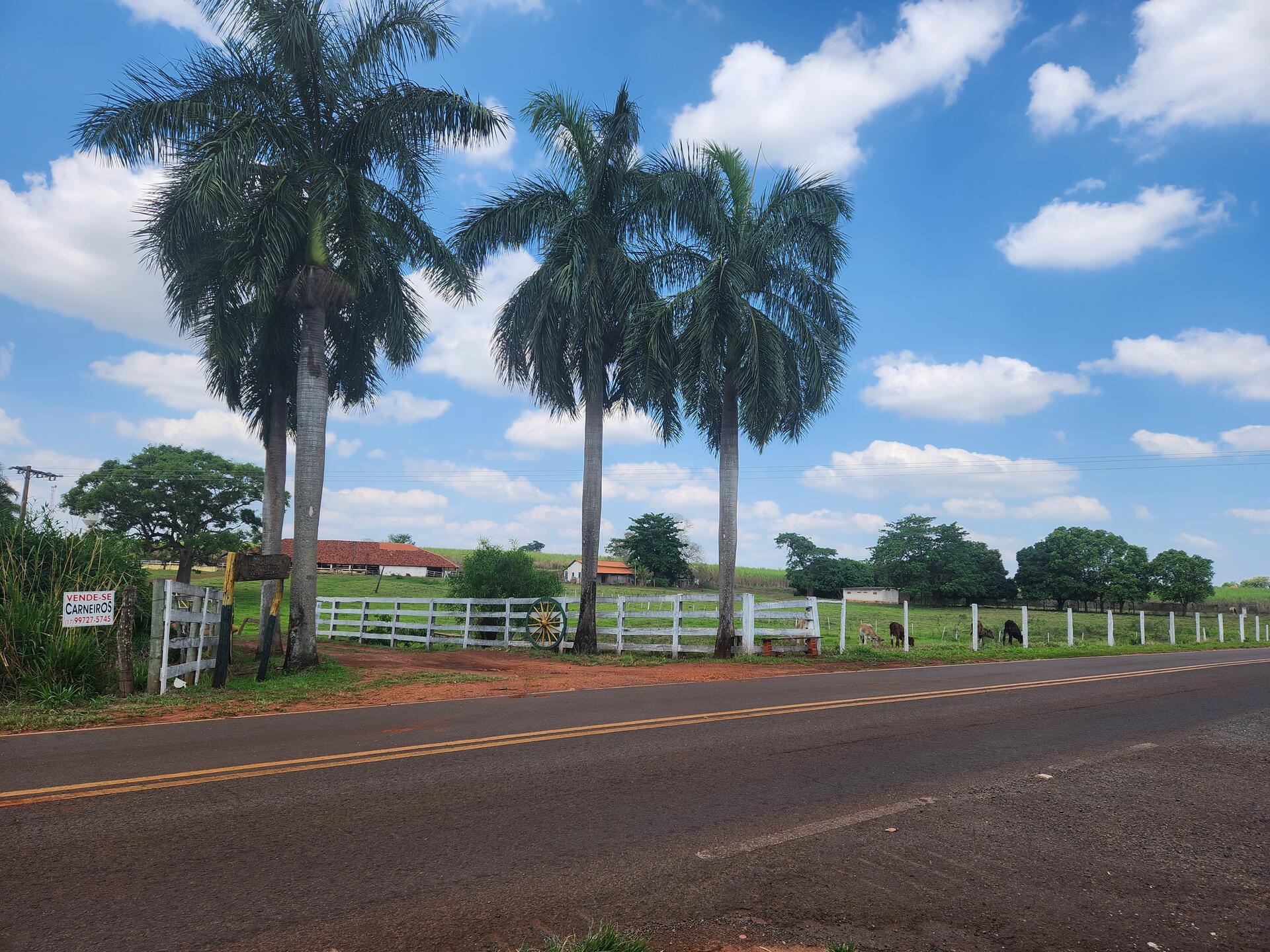 Imóvel rural área 17,40,00ha