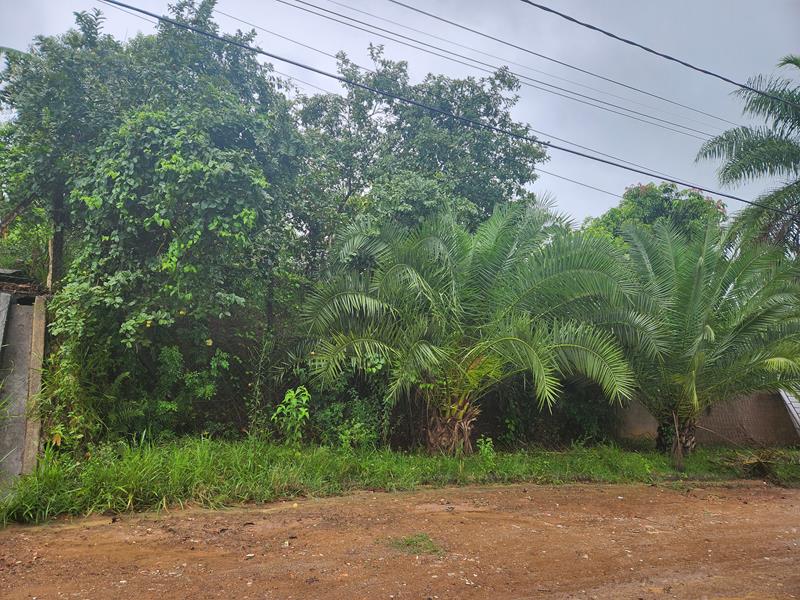Terreno s/benfeitoria área 477m² - Salto/SP
