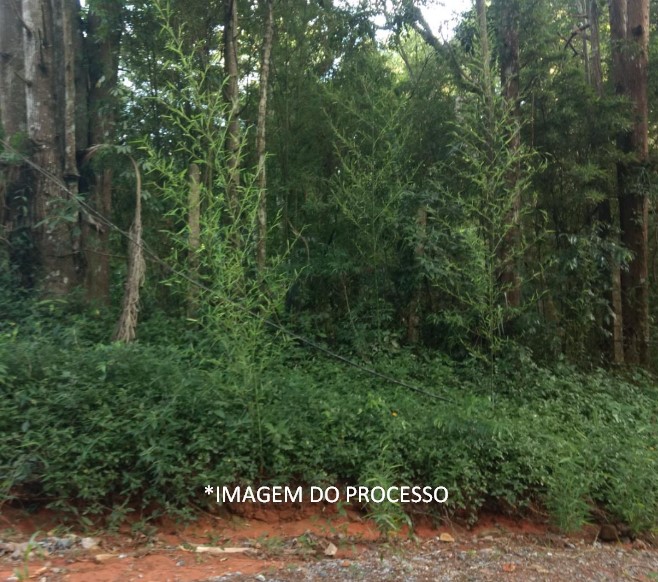 Terreno s/benfeitoria área 3.067m² - São Roque/SP