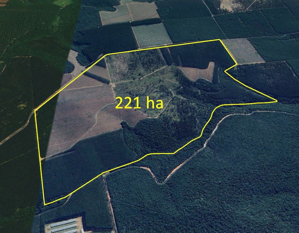 Terreno rural área 221,60 hectares - Angatuba/SP