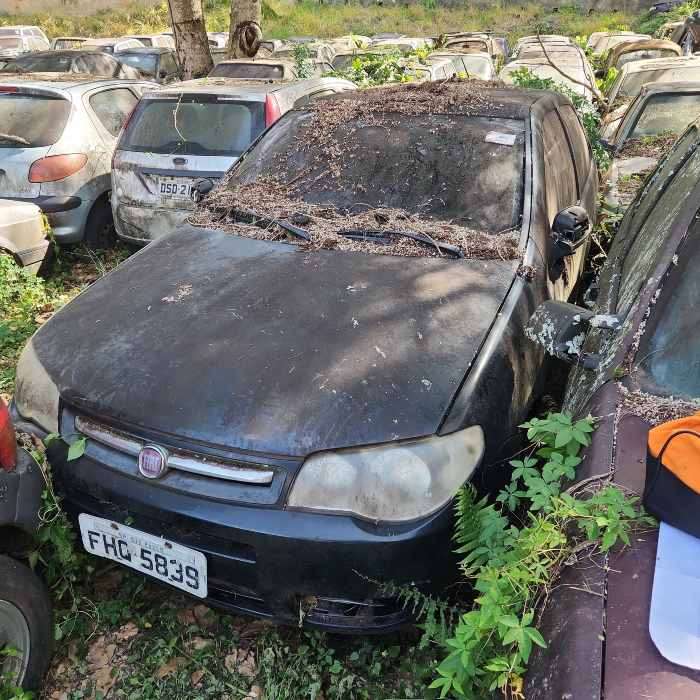 FIAT PALIO FIRE ECONOMY