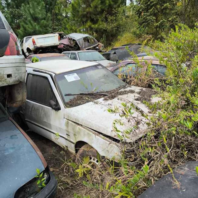 thumb <div style="text-align: justify;"><b>SUCATA </b>- FIAT UNO MILLE IE  
Placa: CBJ4695 
SOROCABA-SP 
Ano/Mod: 1994/1994 
Chassi: 9BD146000R5322081 
Motor: Motor trocado 
RENAVAM: 00625834666&nbsp;</div>