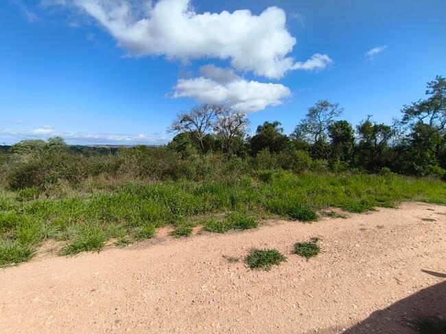 thumb <div style="text-align: justify;"><b>Matrícula nº 9.555 – CRI de Piedade/SP:</b> Lote nº 04, da quadra B-1, do loteamento denominado “Jardim Cananéia”, situado nos bairros do Pinhal, Turvo do Pinhal, Turvo, Pinhal ou Boa Vista, Pinhal do Turvo, Turvo ou Pinhal, município de Pilar do Sul, desta Comarca, em virtude da Lei Municipal nº 601/84, de 20/9/1.984, passou a pertencer a Zona Urbana, para fins do disposto do artigo 3º da Lei nº 6.766, de 19/12/1.979, com a área de 1.589,30m², localizado com frente para a Rua 07, onde mede em reta 24,20 metros, fundos mede 25,89 metros, confrontando-se com a Rua 02, lado direito mede 94,50 metros, confrontando-se com lotes 3 e 6, lado esquerdo mede 64,43 metros, confrontando-se com o lote 05. Terreno baldio e metade do lote é coberto por denso capoeirão e há um declive acentuado na divisa com lotes 3 e 6 da mesma quadra.</div>