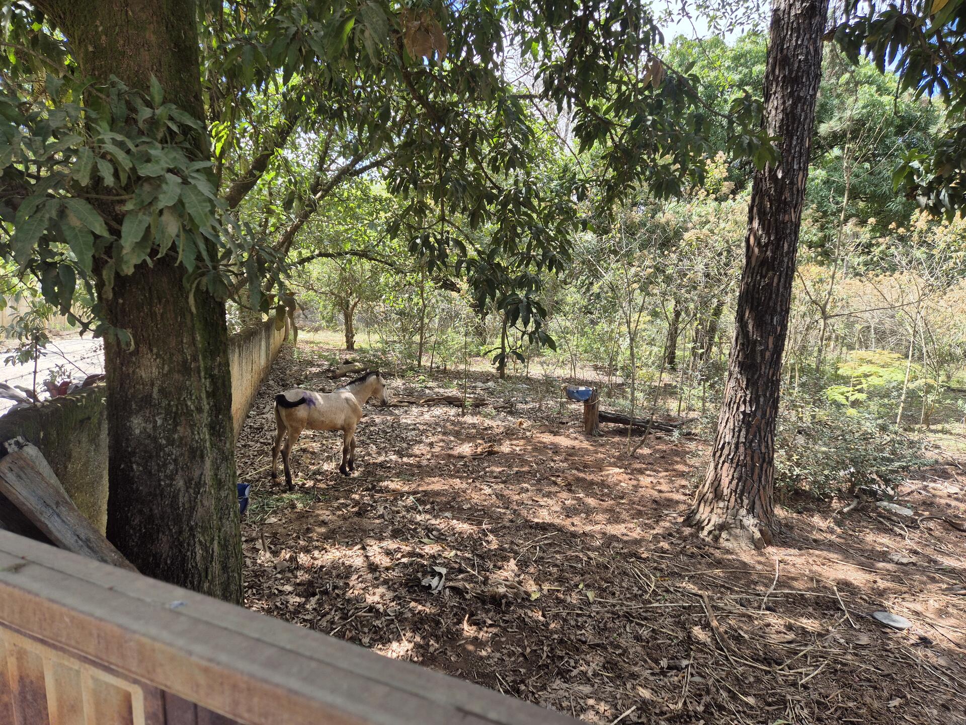 Terreno com área de 4.235m² - Araçoiaba da Serra SP, localizado em Araçoiaba Da Serra - SP