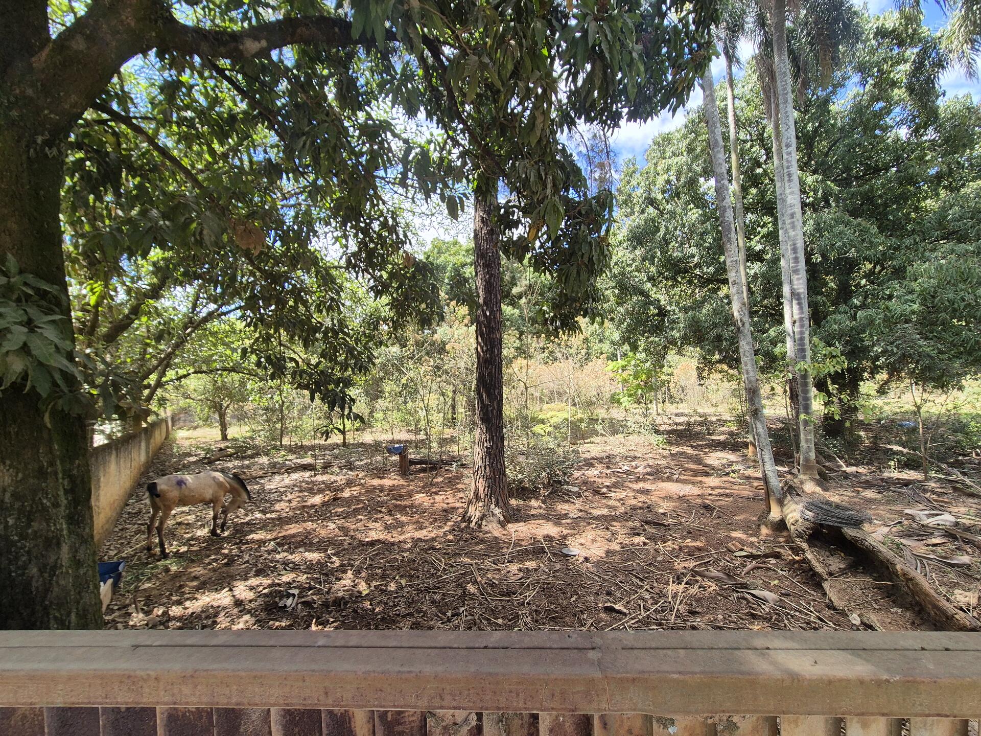 Terreno com área de 4.235m² - Araçoiaba da Serra SP, localizado em Araçoiaba Da Serra - SP