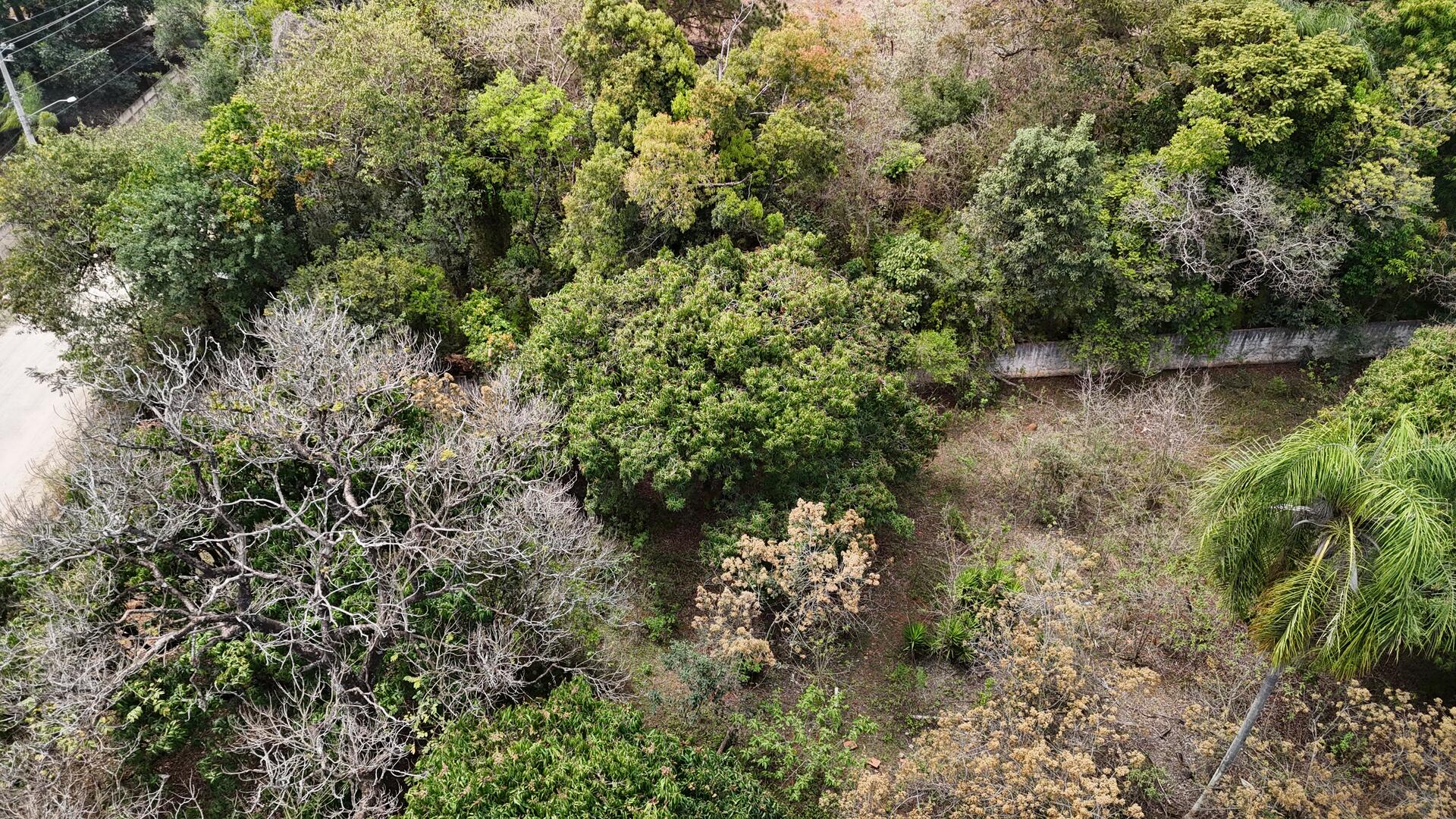 Terreno com área de 4.235m² - Araçoiaba da Serra SP, localizado em Araçoiaba Da Serra - SP