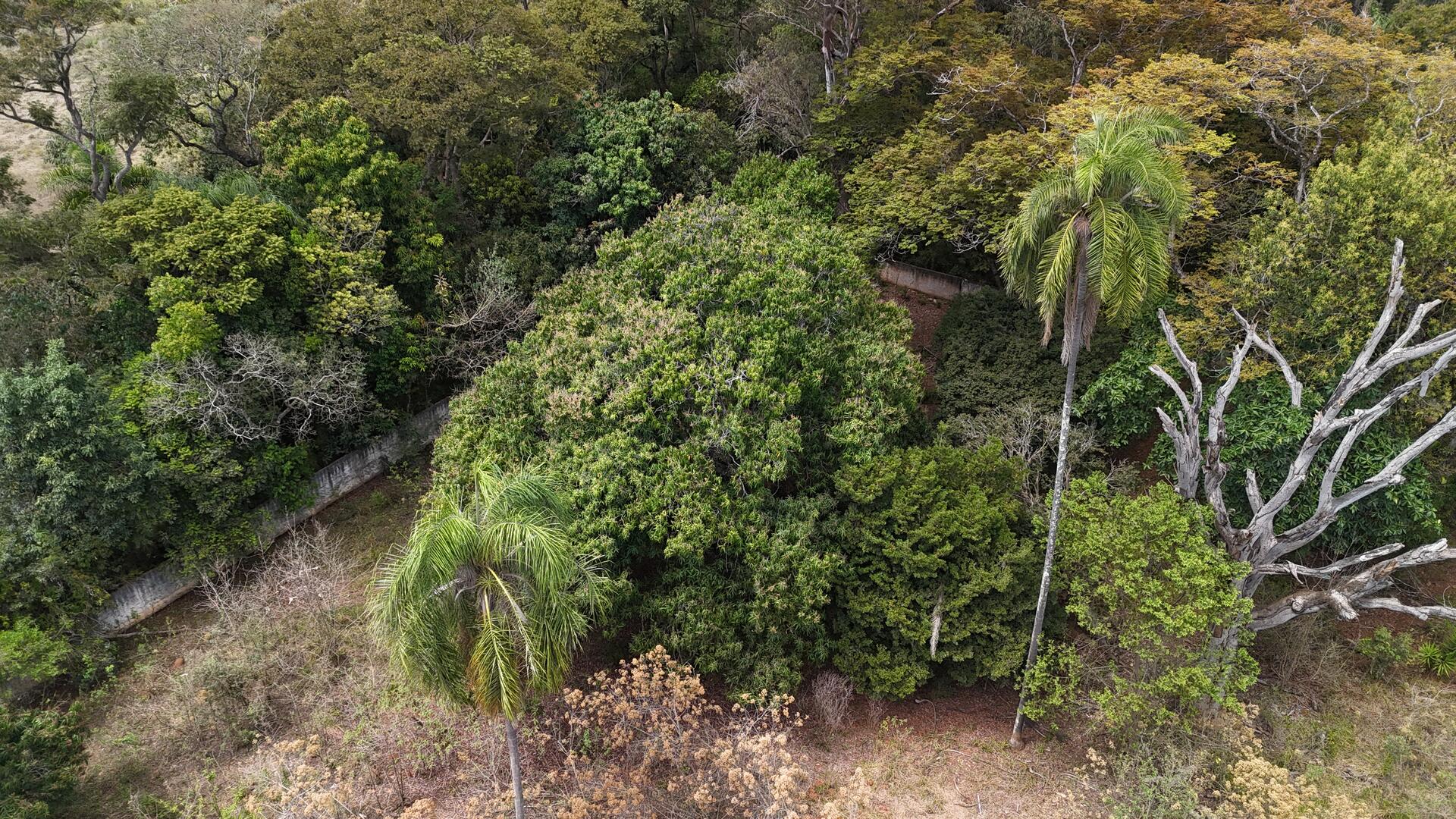 Terreno com área de 4.235m² - Araçoiaba da Serra SP, localizado em Araçoiaba Da Serra - SP