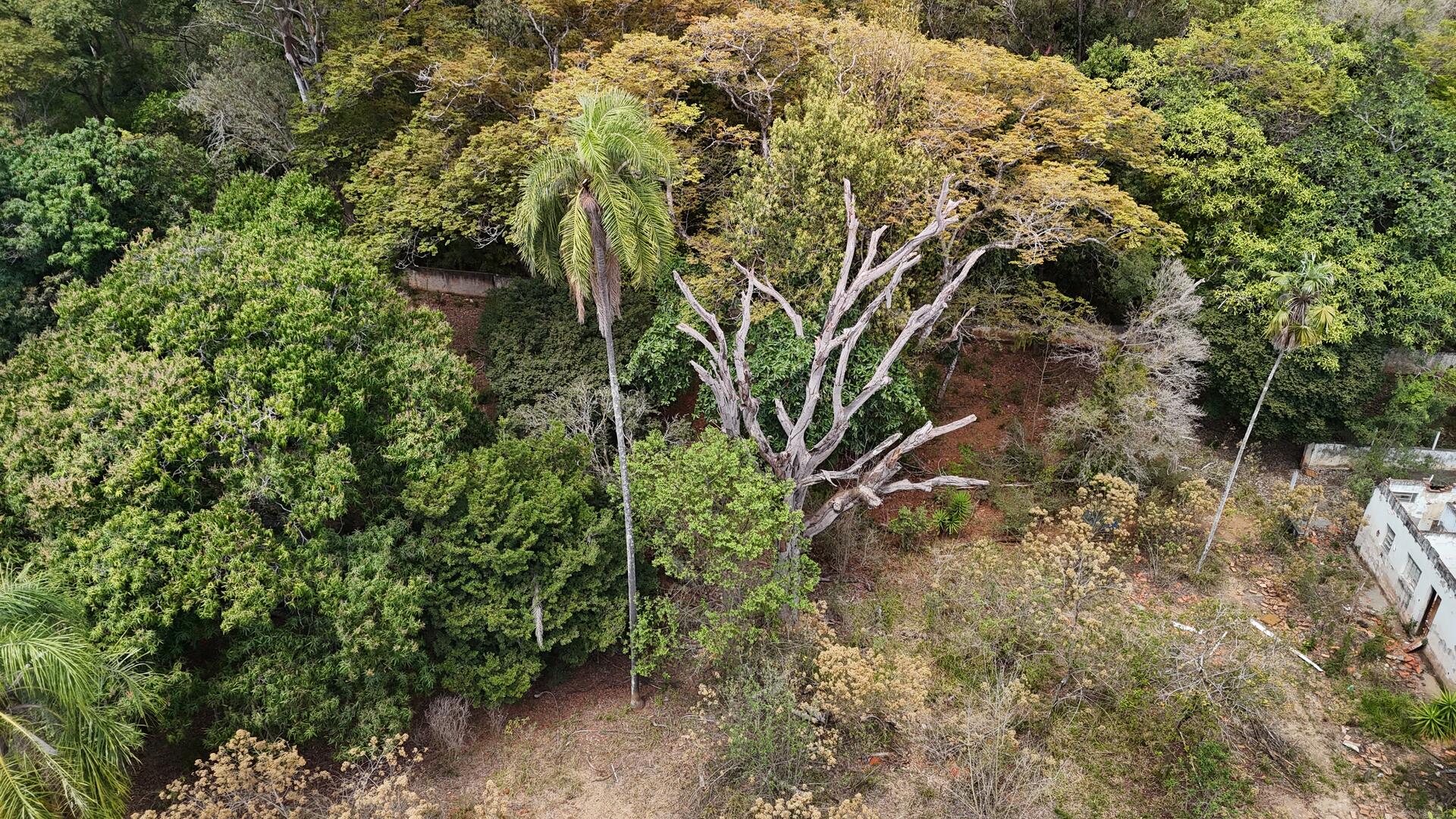 Terreno com área de 4.235m² - Araçoiaba da Serra SP, localizado em Araçoiaba Da Serra - SP
