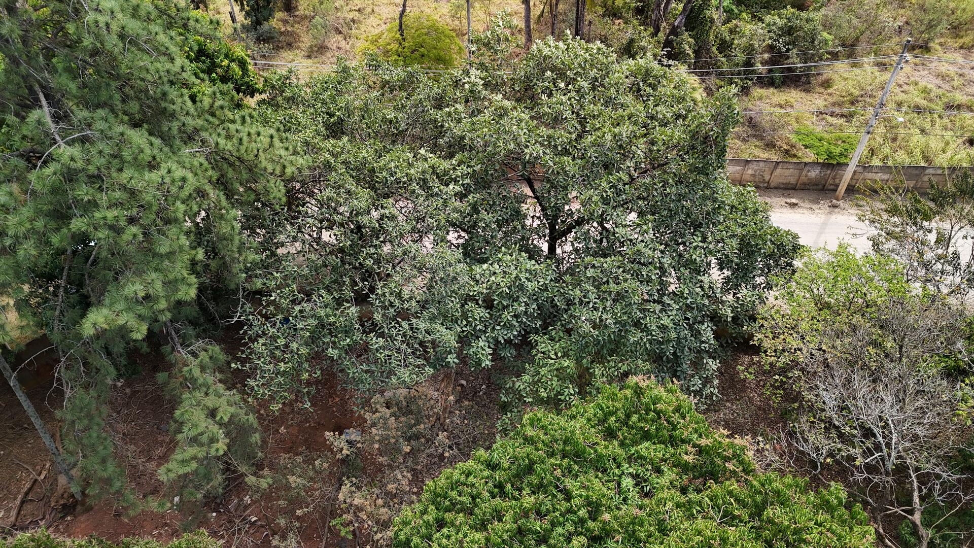 Terreno com área de 4.235m² - Araçoiaba da Serra SP, localizado em Araçoiaba Da Serra - SP