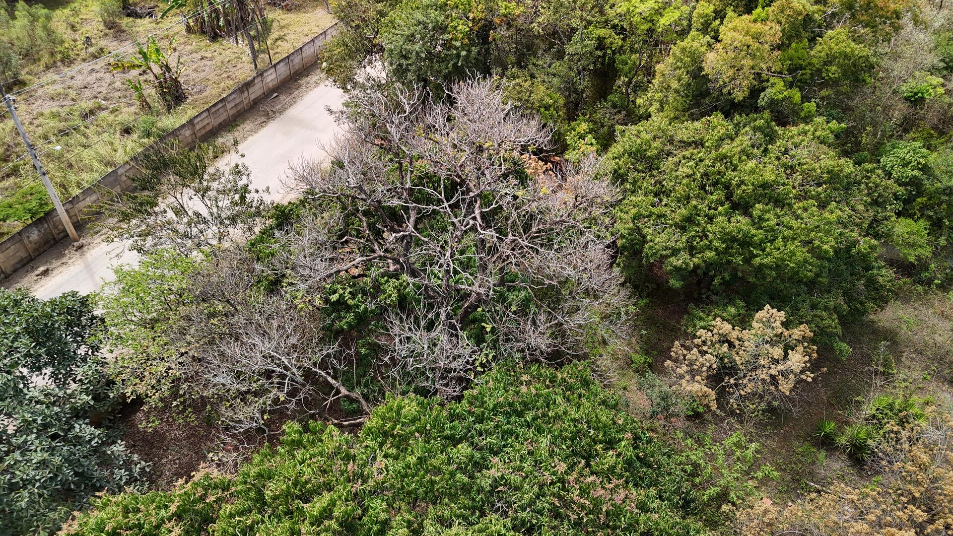 Terreno com área de 4.235m² - Araçoiaba da Serra SP, localizado em Araçoiaba Da Serra - SP