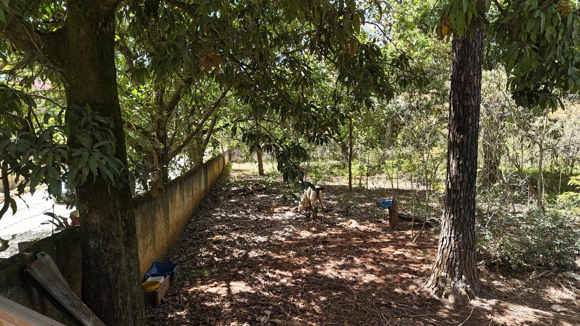 Terreno com área de 4.235m² - Araçoiaba da Serra SP, localizado em Araçoiaba Da Serra - SP