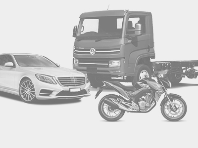 Instituto Chico Mendes de Conservação da Biodiversid...