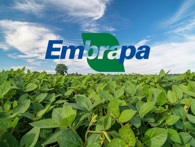 Empresa Brasileira de Pesquisa Agropecuária - EMBRAPA DF